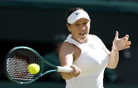 Tennis: Wimbledon championships