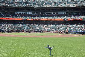 Baseball:Yoshinobu Yamamoto
