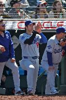 Baseball:Shohei Ohtani
