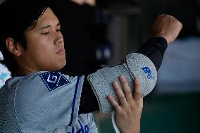 Baseball:Shohei Ohtani