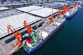 China Import And Export of Goods Trade Growth in H1 2025
