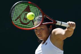 Tennis: Wimbledon championships