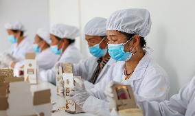 Saffron Manufacturing in Tongren