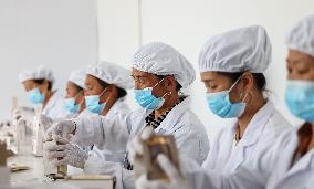 Saffron Manufacturing in Tongren