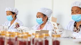 Saffron Manufacturing in Tongren