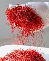 Saffron Manufacturing in Tongren