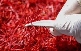 Saffron Manufacturing in Tongren