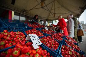 Food market