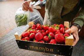 Food market