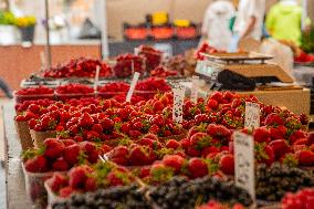Food market