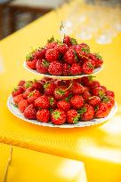 Summer berries