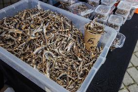 Fish market