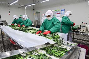 China Import And Export of Goods Trade Growth in H1 2025
