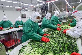 China Import And Export of Goods Trade Growth in H1 2025
