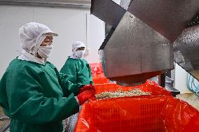 China Import And Export of Goods Trade Growth in H1 2025