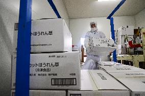 China Import And Export of Goods Trade Growth in H1 2025