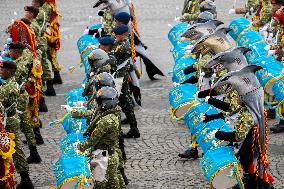 Annual Bastille Day military parade - Paris