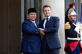 Emmanuel Macron welcomes Indonesian President prior a working diner - Paris