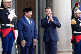 Emmanuel Macron welcomes Indonesian President prior a working diner - Paris