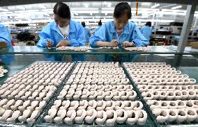China 2025 H1 GDP Growth