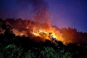 Latakia Wildfire - Syria