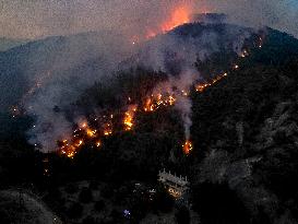 Latakia Wildfire - Syria