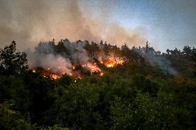 Latakia Wildfire - Syria