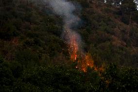 Latakia Wildfire - Syria