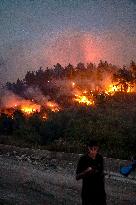 Latakia Wildfire - Syria