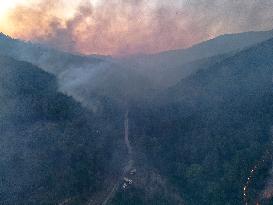 Latakia Wildfire - Syria