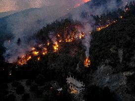 Latakia Wildfire - Syria