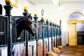Opening of Noordeinde Palace and Royal Stables