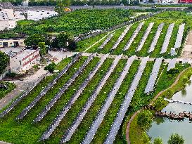 Yangzhou Economic and Technological Development Zone PV