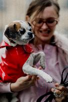 PFW - Patou Outside Arrivals