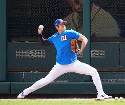 Baseball:Shohei Ohtani
