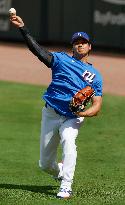 Baseball:Shohei Ohtani