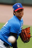 Baseball:Shohei Ohtani