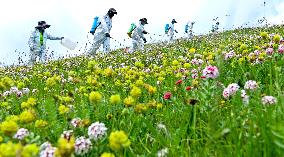 Integrated Protection And Restoration Project of Forest And Grassland Wetland