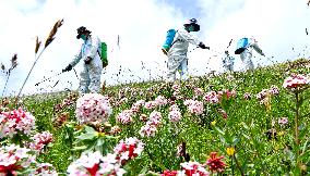 Integrated Protection And Restoration Project of Forest And Grassland Wetland