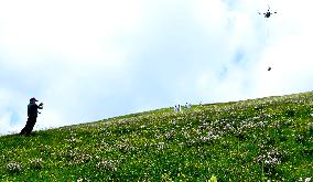 Integrated Protection And Restoration Project of Forest And Grassland Wetland