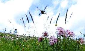 Integrated Protection And Restoration Project of Forest And Grassland Wetland
