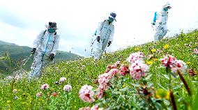 Integrated Protection And Restoration Project of Forest And Grassland Wetland