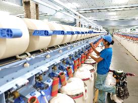 China Xinjiang Textile Industry