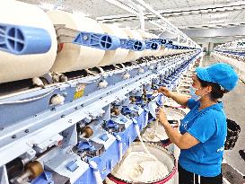 China Xinjiang Textile Industry