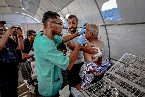 Gazans Killed and Wounded - Gaza City