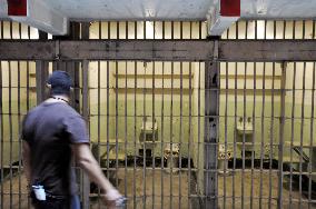 Alcatraz Island