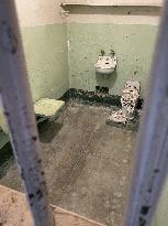 Alcatraz Island