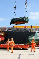 Port Cargo Trade