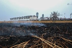 Fire Stabilized After Affecting 70 Hectares in Lalin - Spain