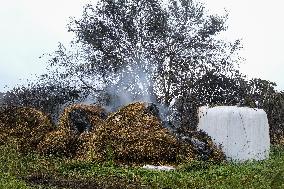 Fire Stabilized After Affecting 70 Hectares in Lalin - Spain